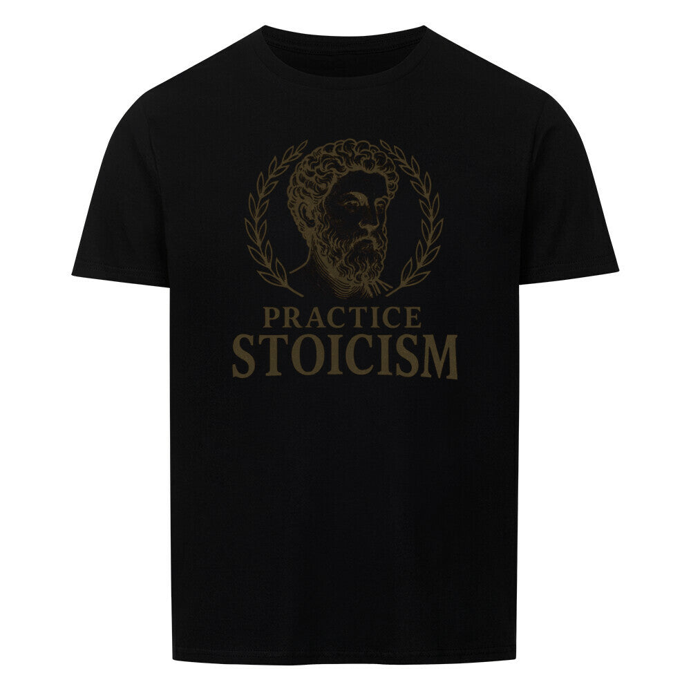 Unisex Stoizismus shirt with "Practice Stoicism" print in black, made from 100% cotton.